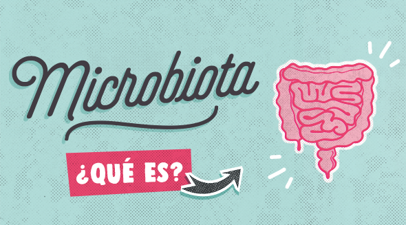 La microbiota intestinal, ¿qué es?