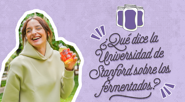 ¿Qué dice la Universidad de Stanford sobre los fermentados?
