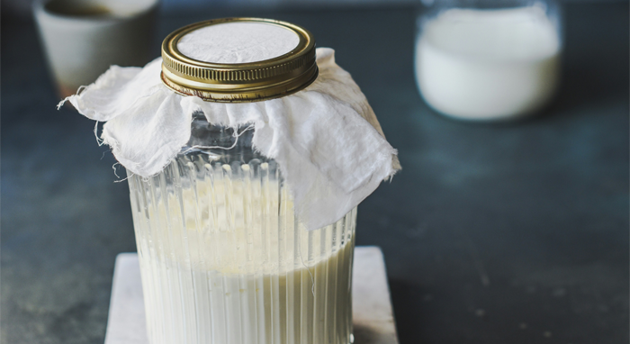 Kombucha vs kéfir: diferencias, beneficios y cuál elegir