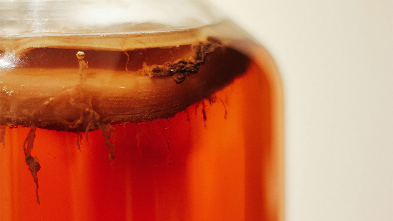 Kombucha Casera vs. Comprada: Ventajas y Diferencias