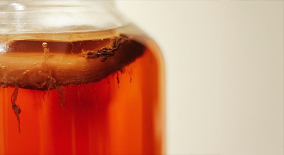 Guía avanzada: Todo lo que necesitas saber sobre la fermentación de la kombucha