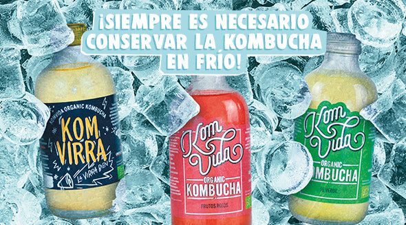 ¿Cómo conservar la kombucha?