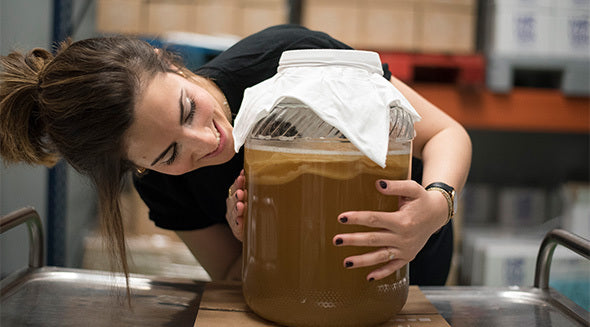 Comprar Scoby. Dónde comprarlo al mejor precio