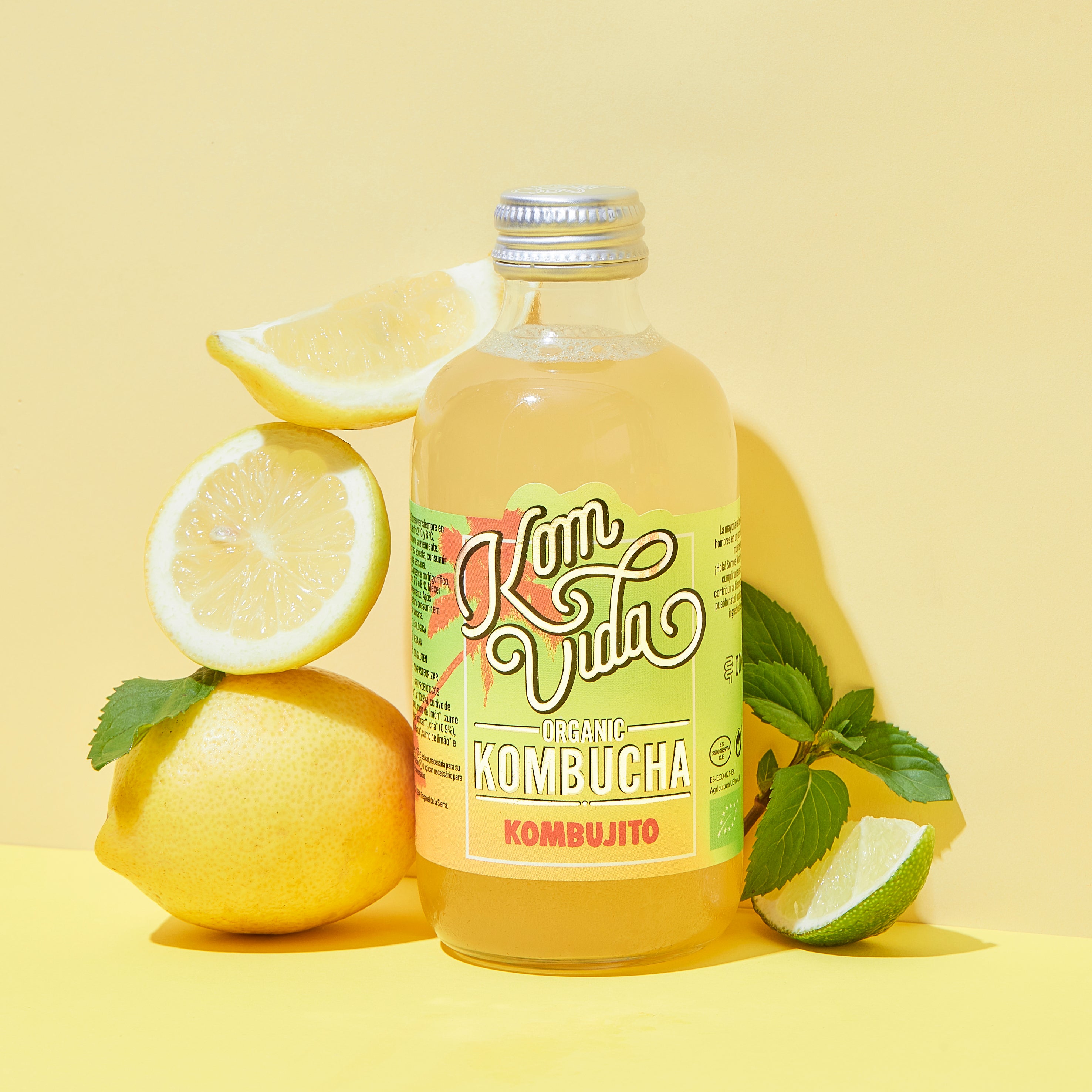 MONOPACK KOMBUJITO 250 ml