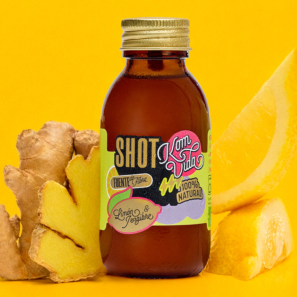 SHOTS FIBRA GINGERVIDA 15x100 ml