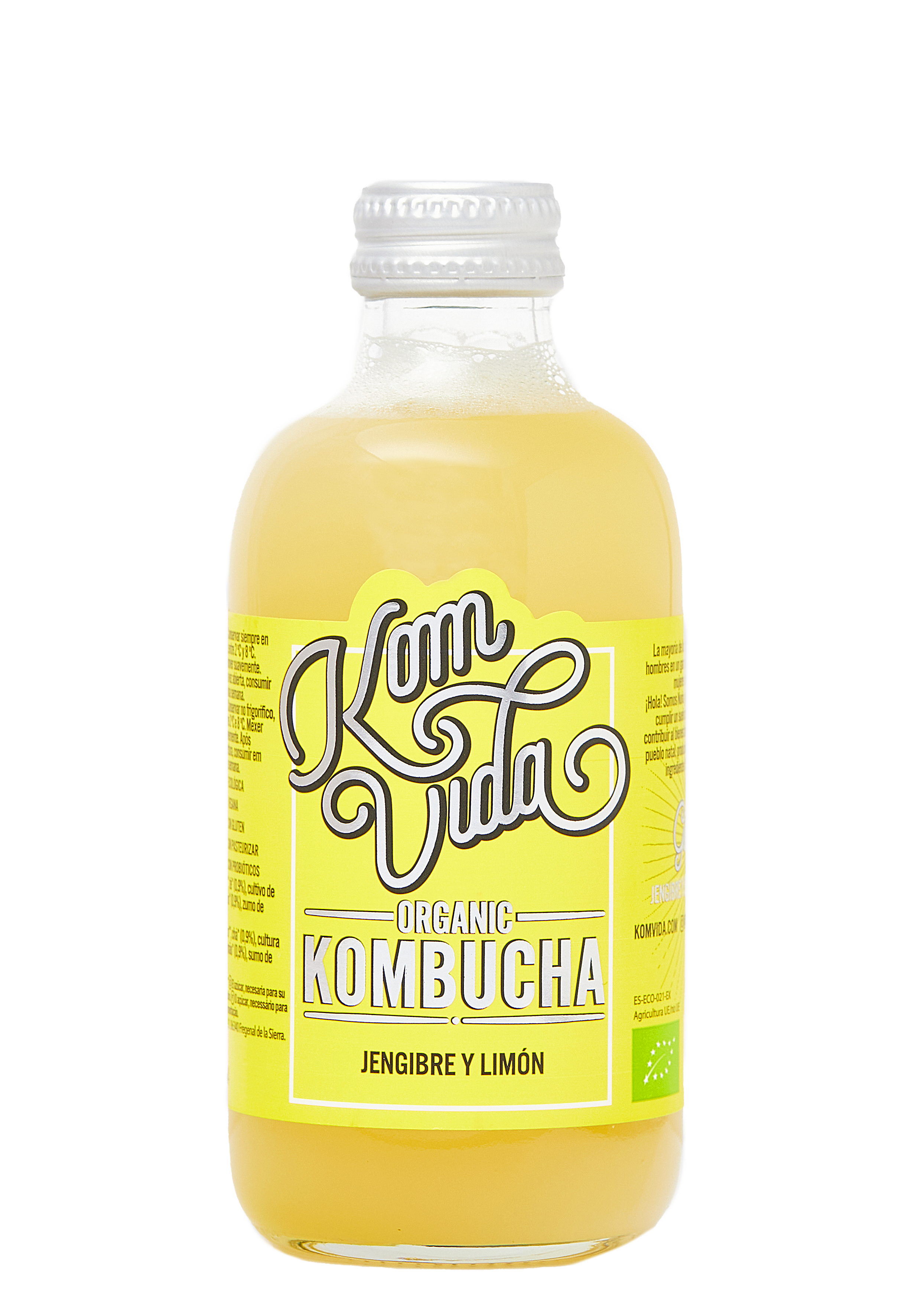 BOTELLA GINGERVIDA 1x250 ml