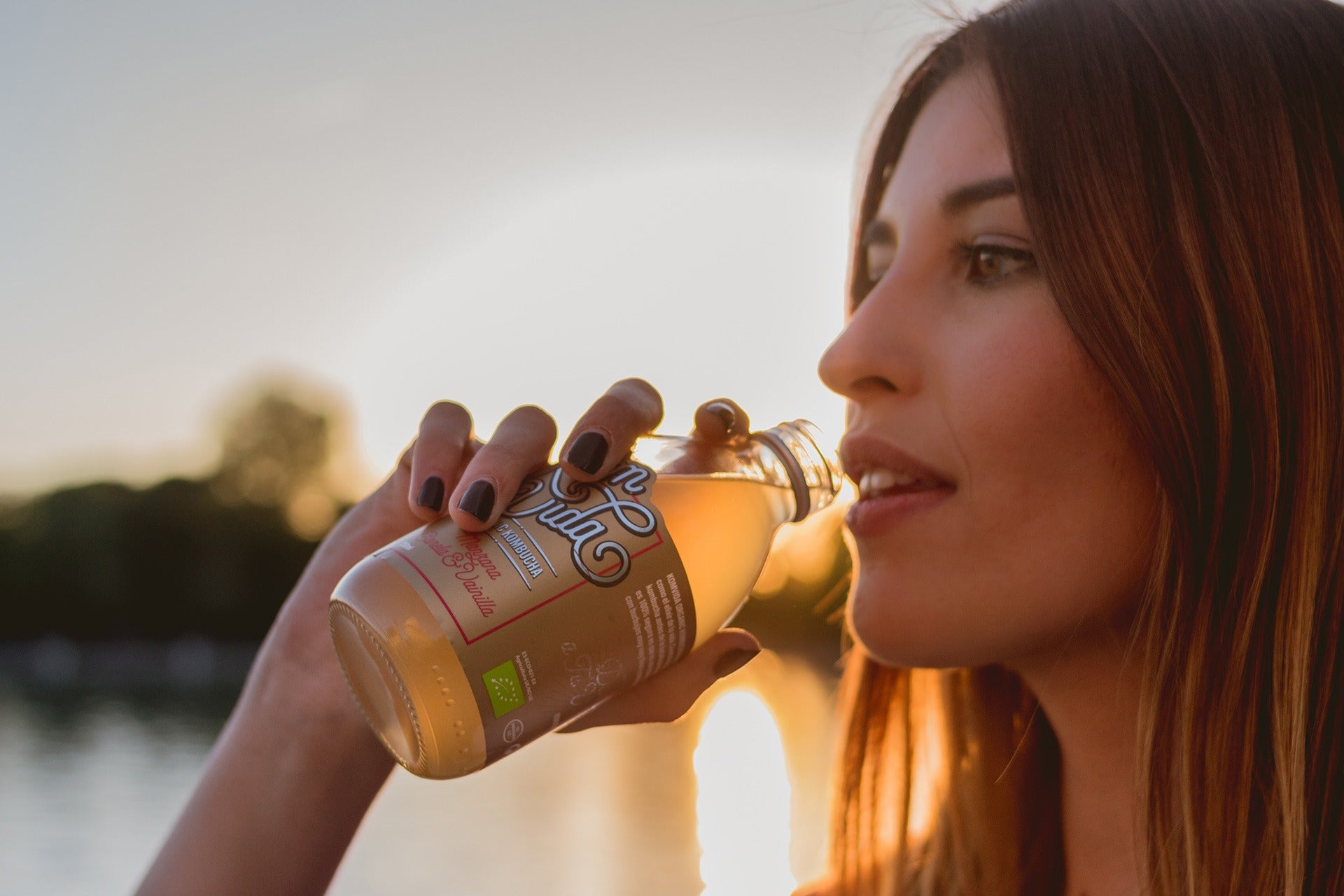Komvida kombucha es un probiótico