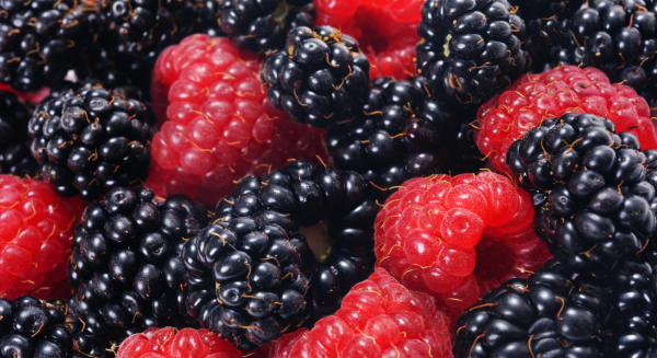 Bebidas antioxidantes que tu cuerpo necesita