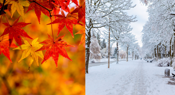 Mejores bebidas antiinflamatorias para este otoño-invierno 2026