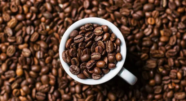 Alternativas y sustitutos del café para despertar