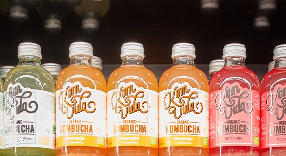 Guía de compra: ¿Qué kombucha Komvida elegir según tus necesidades?