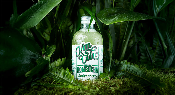 Propiedades detox de la kombucha: cómo apoyar a tu hígado naturalmente