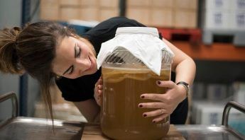 ¿Qué es el Scoby de la Kombucha?