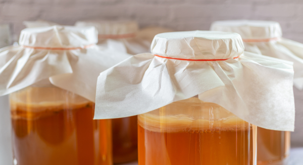¿Puedo tomar kombucha a diario?