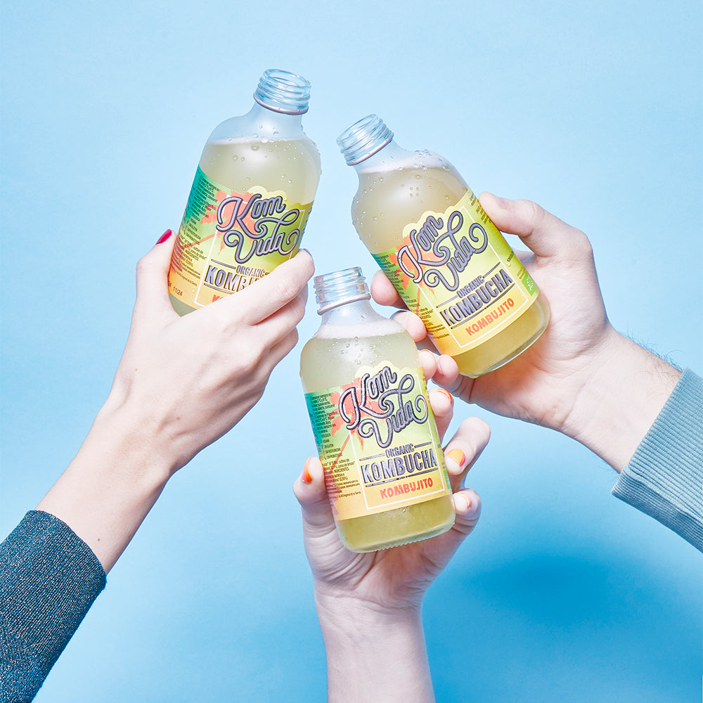 MONOPACK KOMBUJITO 250 ml