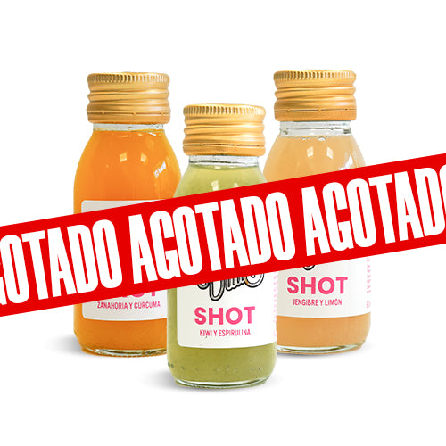 01 Shots multisabor 15x60 ml