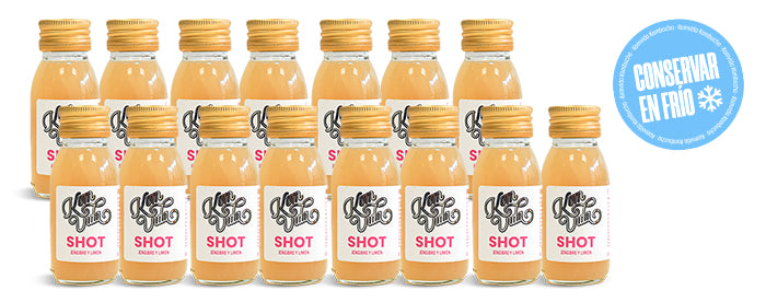 02 Shots gingervida 15x60 ml