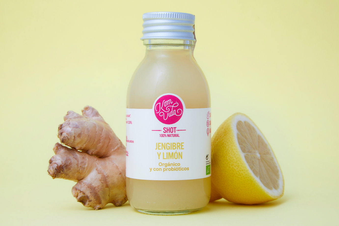 02 SHOTS GINGERVIDA 15X100 ml