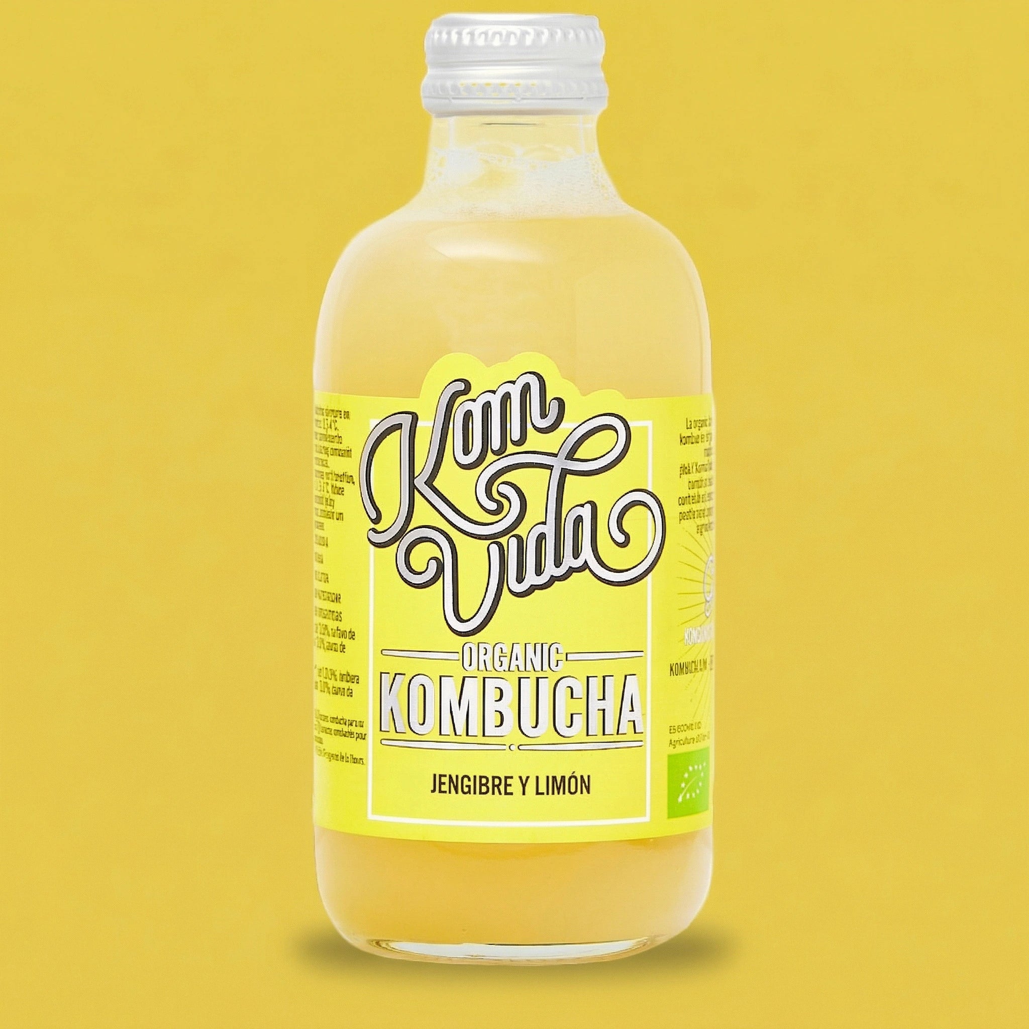 BOTELLA GINGERVIDA 1x250 ml