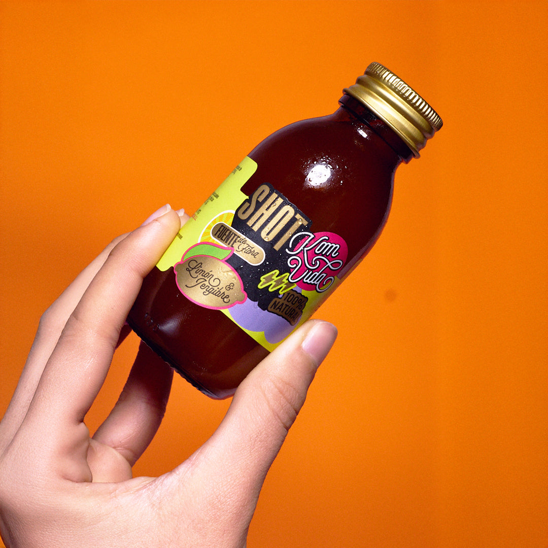 SHOTS FIBRA GINGERVIDA 15x100 ml