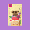 SCOBY ECOLÓGICO KOMVIDA