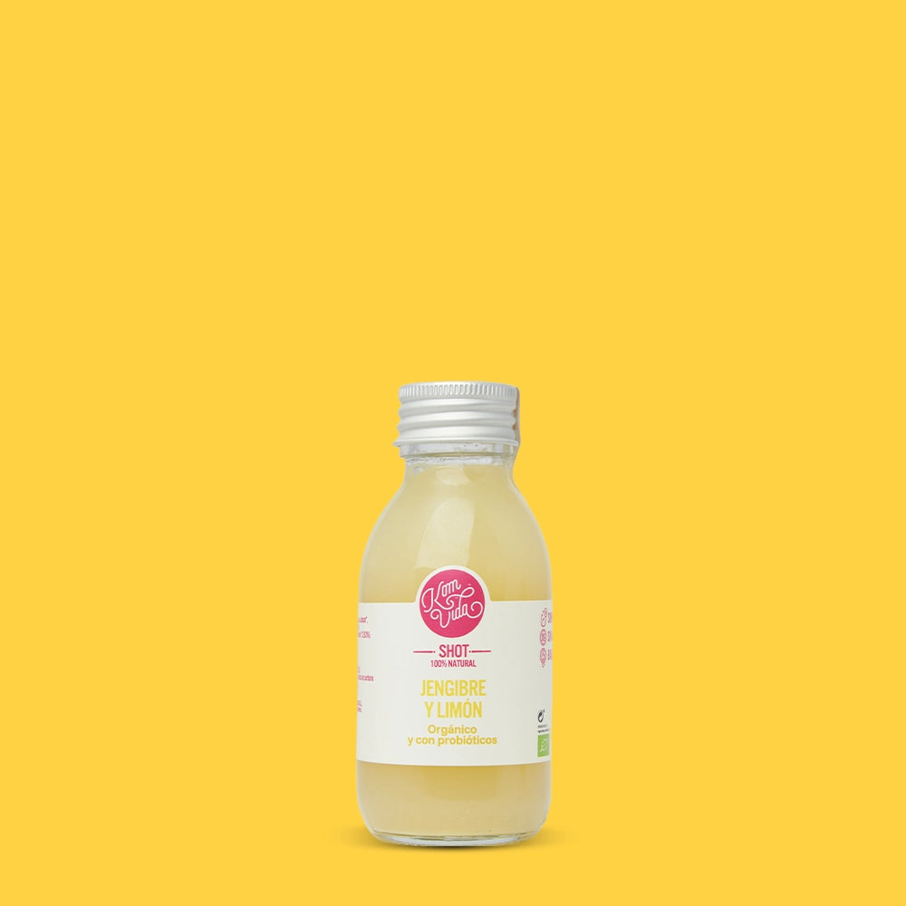 02 SHOTS GINGERVIDA 15X100 ml