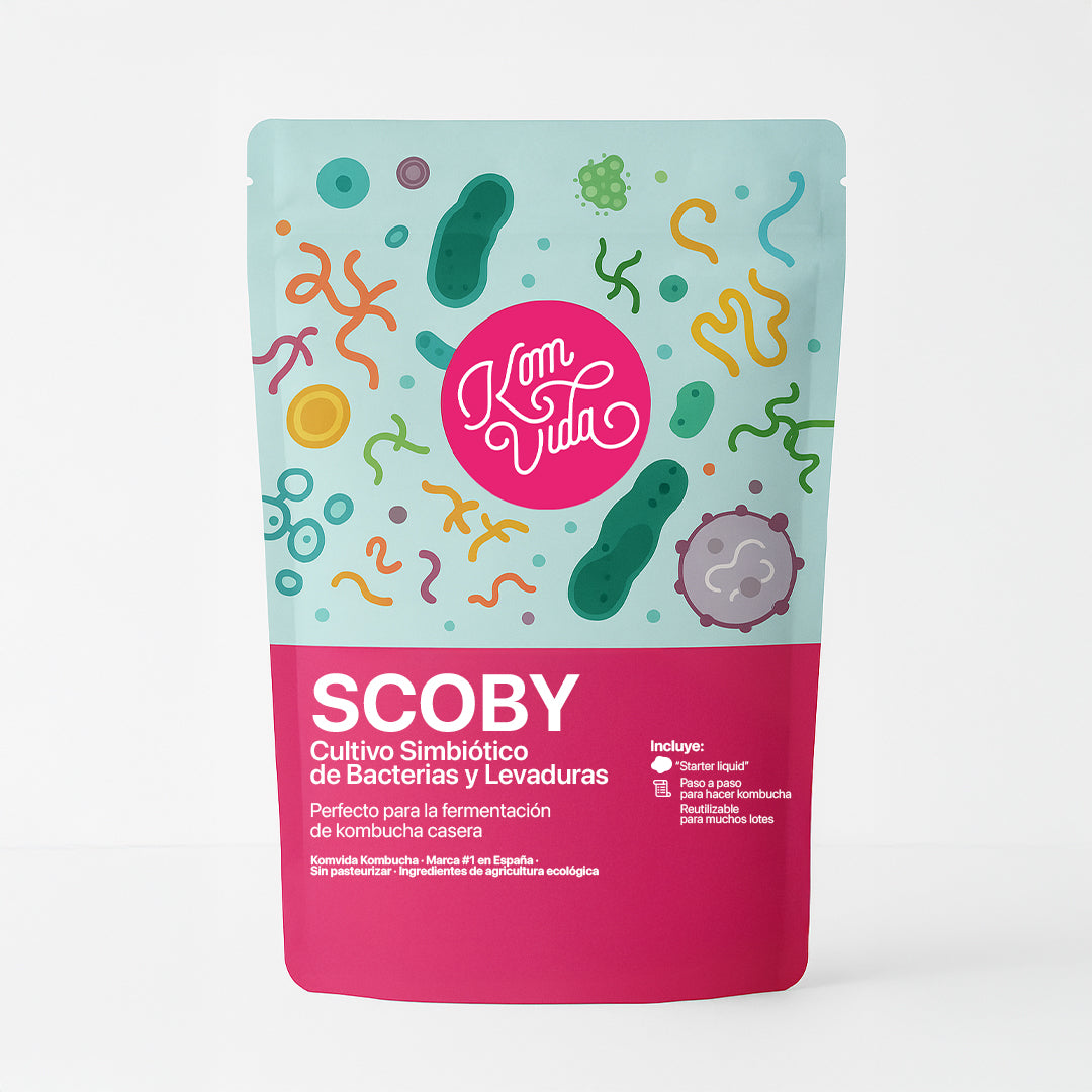 SCOBY ECOLÓGICO KOMVIDA
