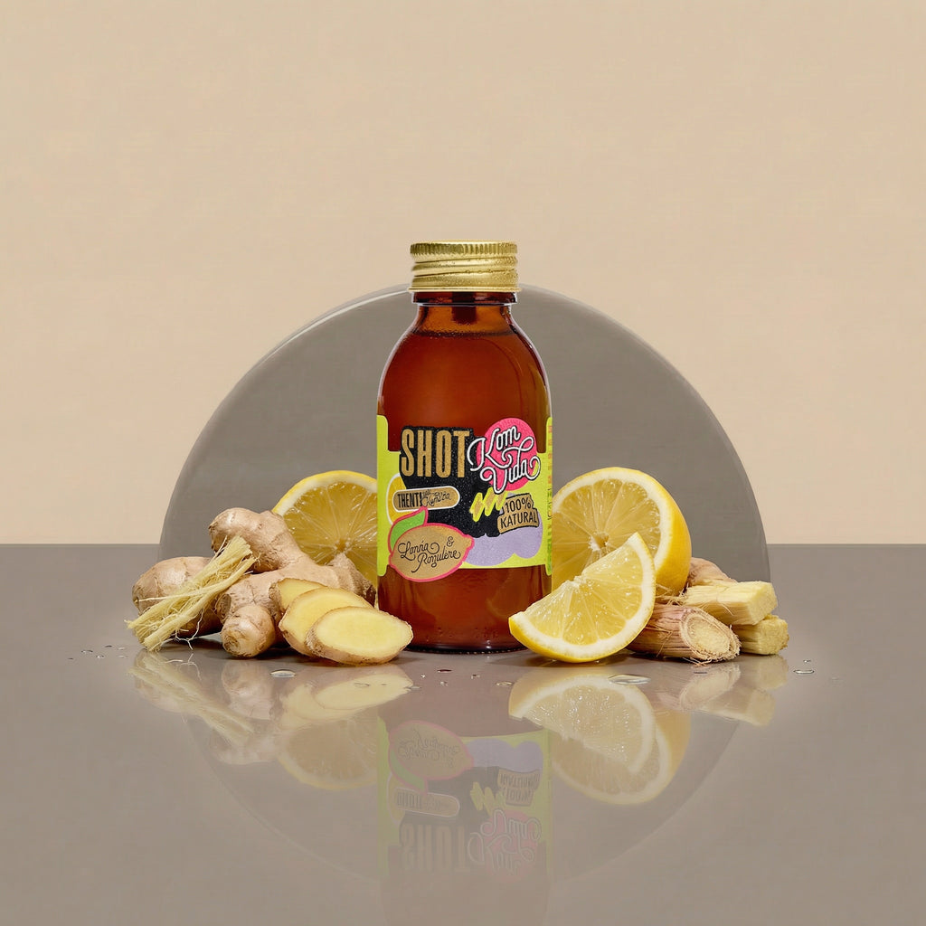 05 SHOTS FIBRA GINGERVIDA 15x100 ml