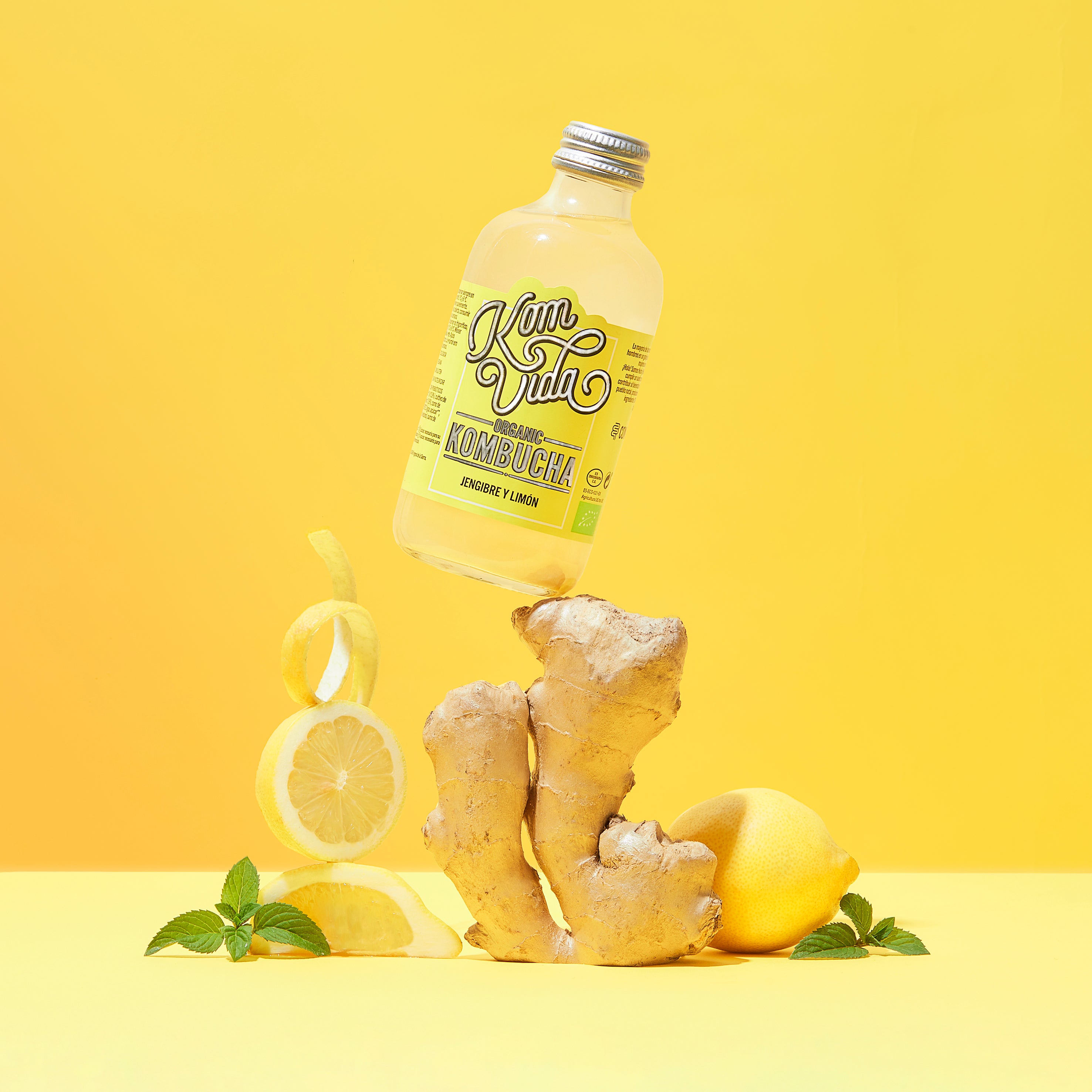 MONOPACK GINGERVIDA 250 ml