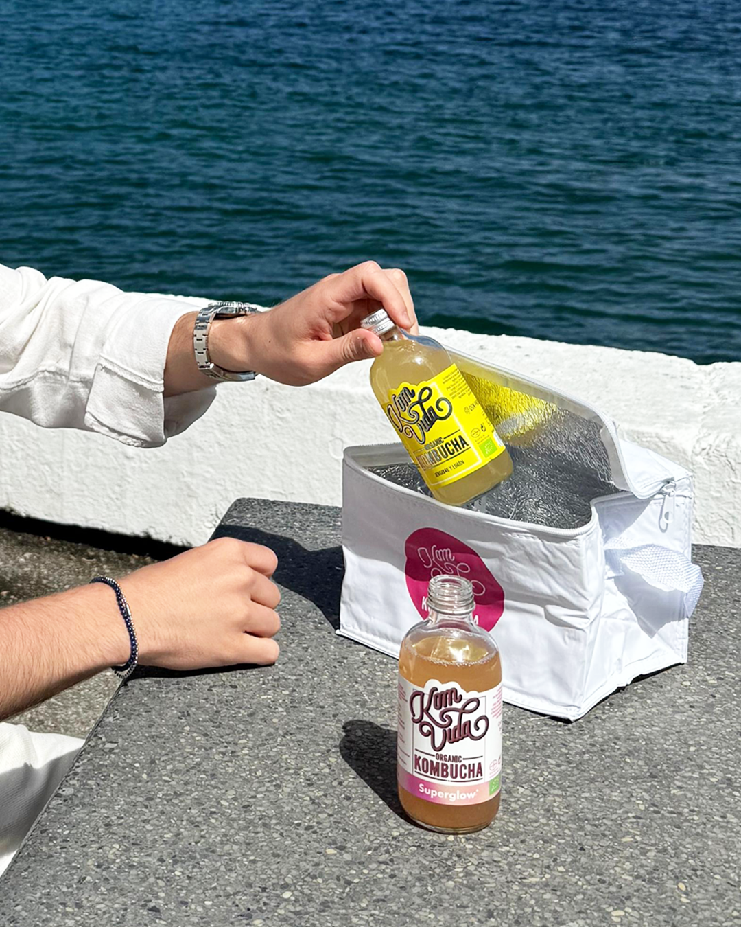 KIT SUPERVIVENCIA 24 x 250ml + NEVERA GRATUITA