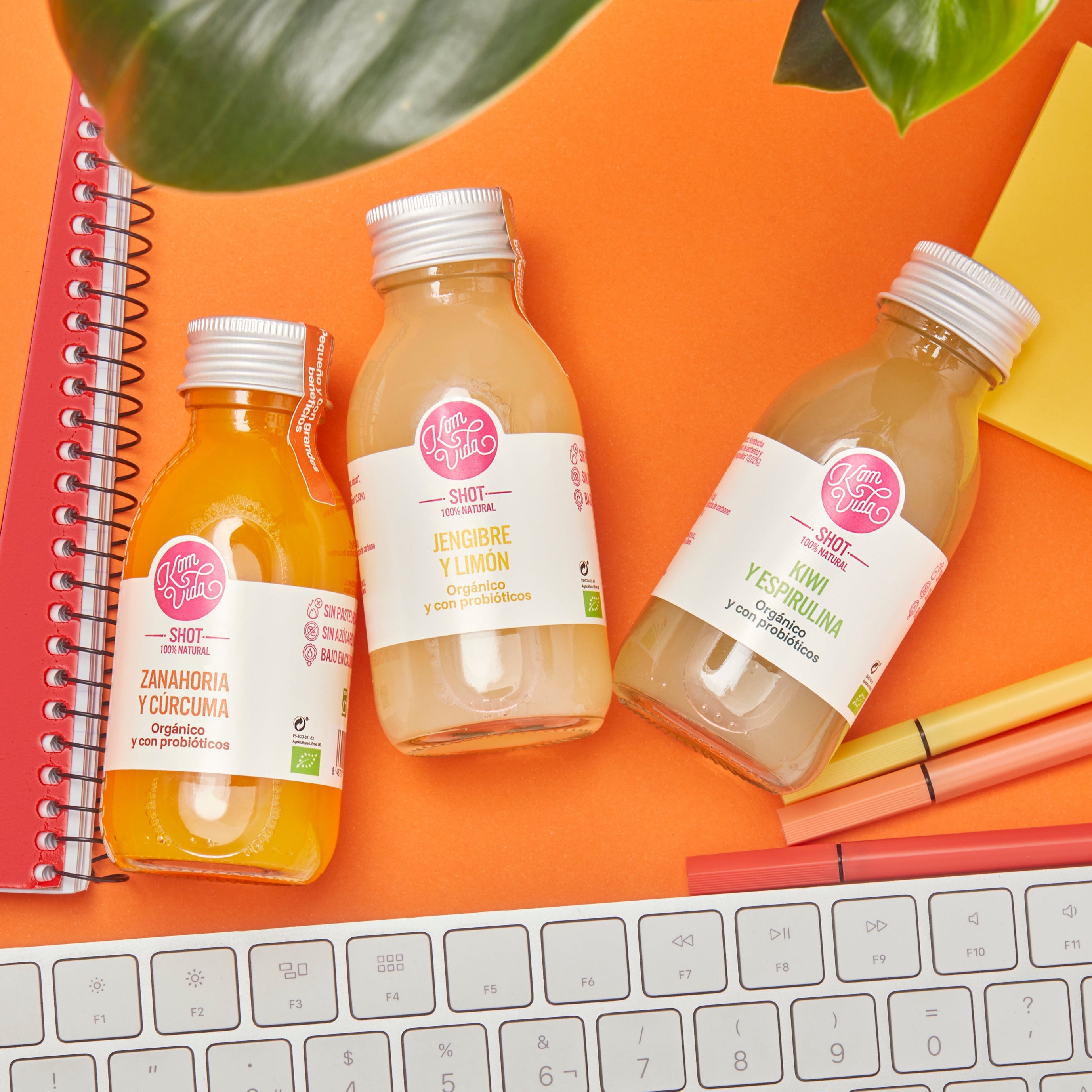 03 SHOTS ZANAHORIA Y CÚRCUMA 15x100 ml