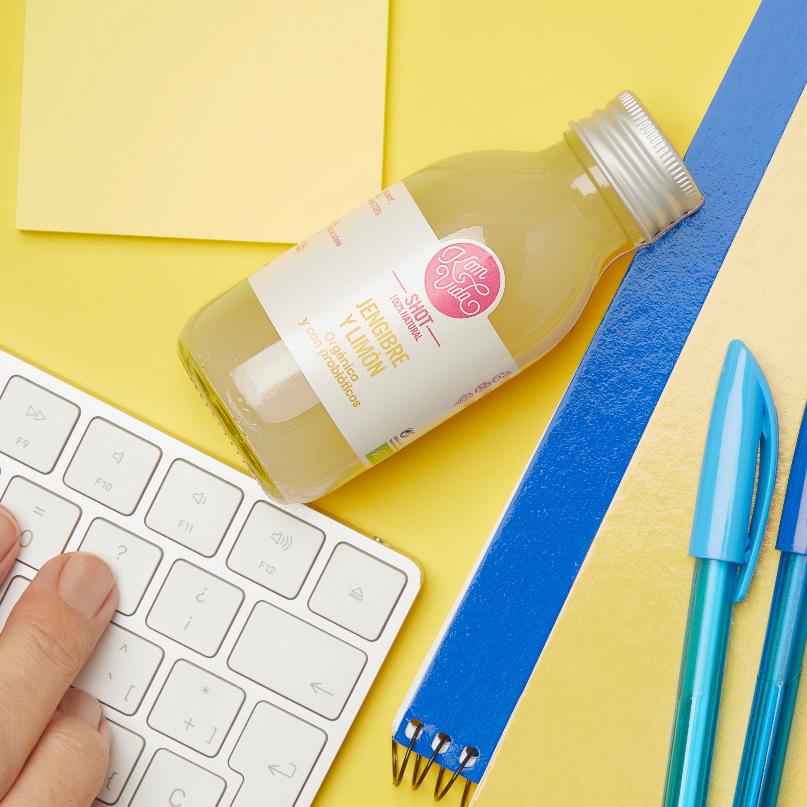 02 SHOTS GINGERVIDA 15X100 ml